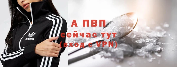 гидра Наволоки