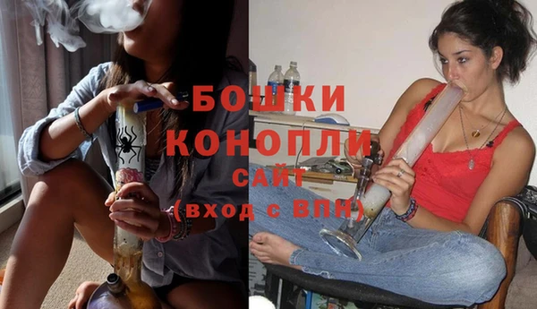 гидра Наволоки