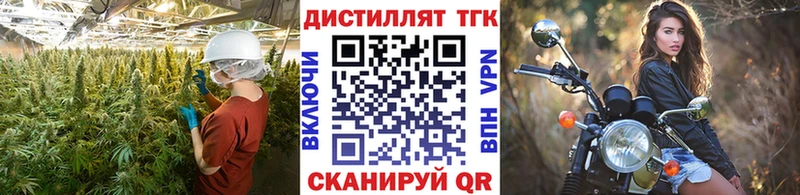 ТГК Wax  Мурино 