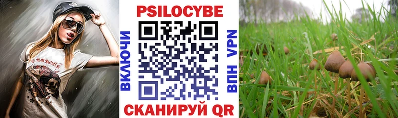 Галлюциногенные грибы Cubensis  Мурино 