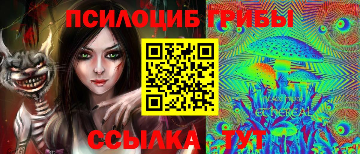 Мурино  Псилоцибиновые грибы GOLDEN TEACHER  Галлюциногенные грибы Magic Shrooms  Вход с VPN 