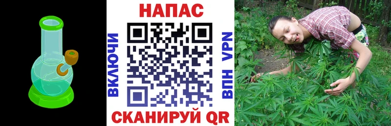 Канабис сатива Мурино