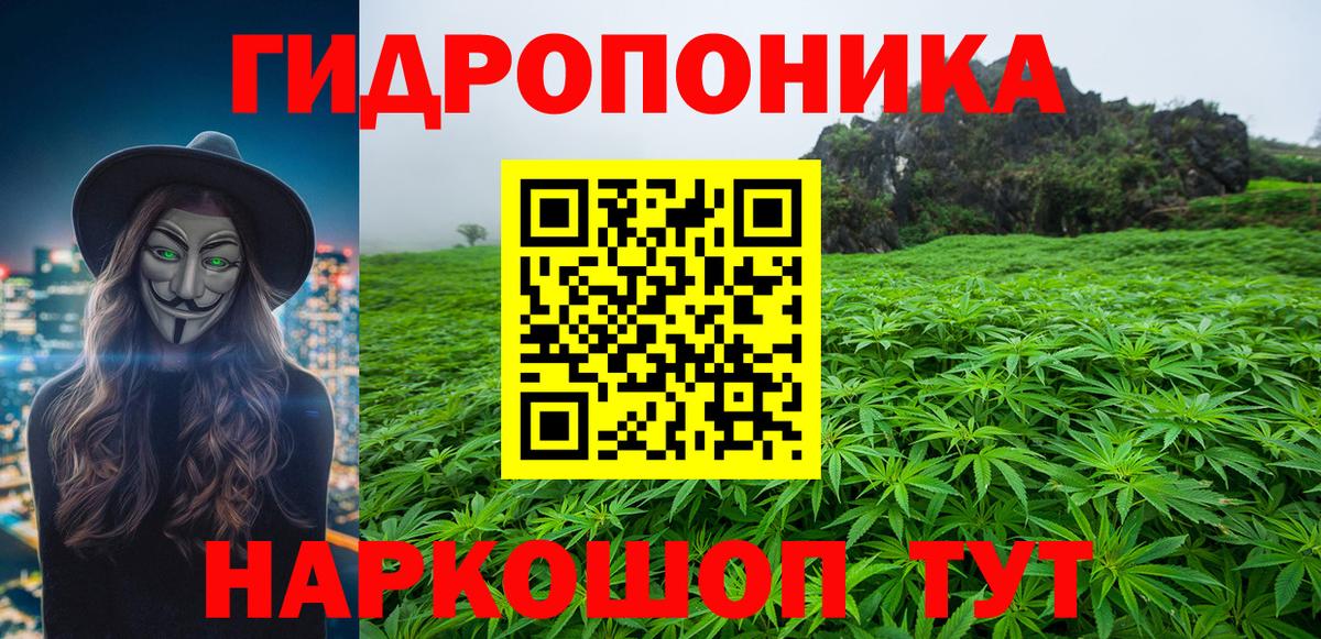 Каннабис Ganja  Вход с VPN  Каннабис план  Мурино  МАРИХУАНА Ganja 